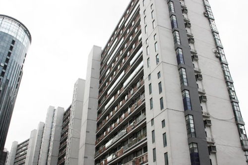 上海青年城優(yōu)點 不足,上海青年城怎么樣,上海青年城周邊房產(chǎn)中介經(jīng)紀(jì)人評價