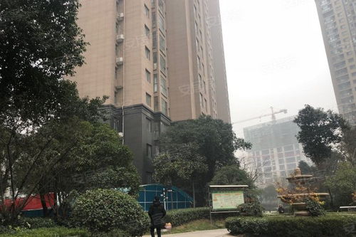 上海灘華府優(yōu)點 不足,上海灘華府怎么樣,上海灘華府周邊房產(chǎn)中介經(jīng)紀(jì)人評價