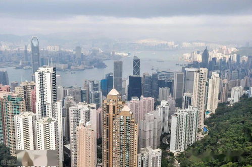 掌握以下幾點(diǎn),上海落戶變簡(jiǎn)單 問(wèn)題