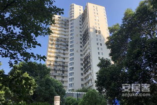 香山麗舍 公寓 優(yōu)點(diǎn) 不足,香山麗舍 公寓 怎么樣,香山麗舍 公寓 周邊房產(chǎn)中介經(jīng)紀(jì)人評(píng)價(jià)