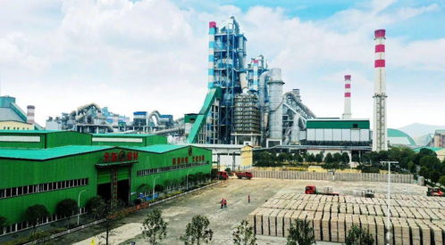 世界首條吸碳制磚生產(chǎn)線在華新成功運行 入選全球建材十大科技新聞