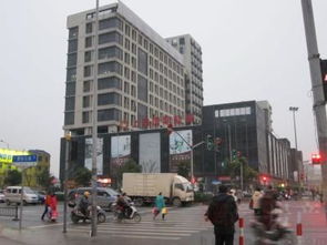 上海金鼎香樟苑：配套實(shí)景、樣板間與戶型全解析